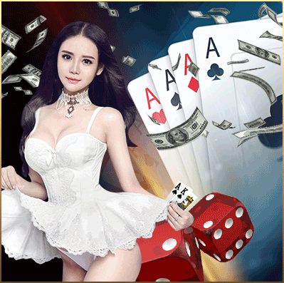 DG娛樂城、百家樂、輪盤、龍虎、骰寶介紹